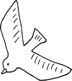 dove